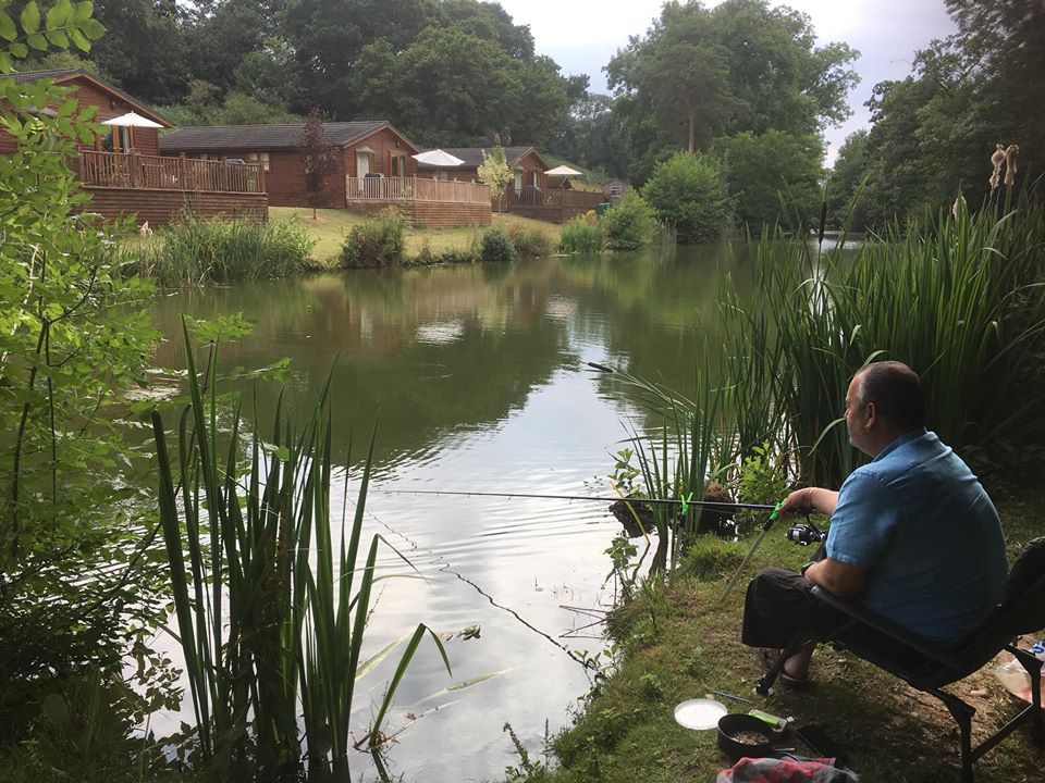 Upton Lakes & Lodges (Cullompton, Devon) Fishing Lake Day Ticket Lakes