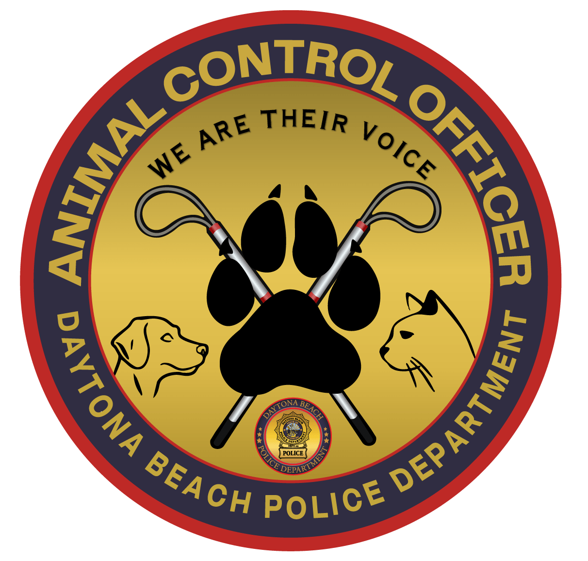 Declared Dangerous Dog List Daytona Beach Fl Official Website