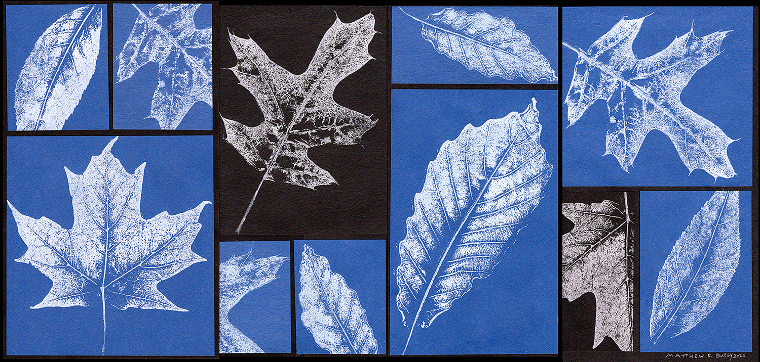 Leaf Texture Collage Dayton Art Institute