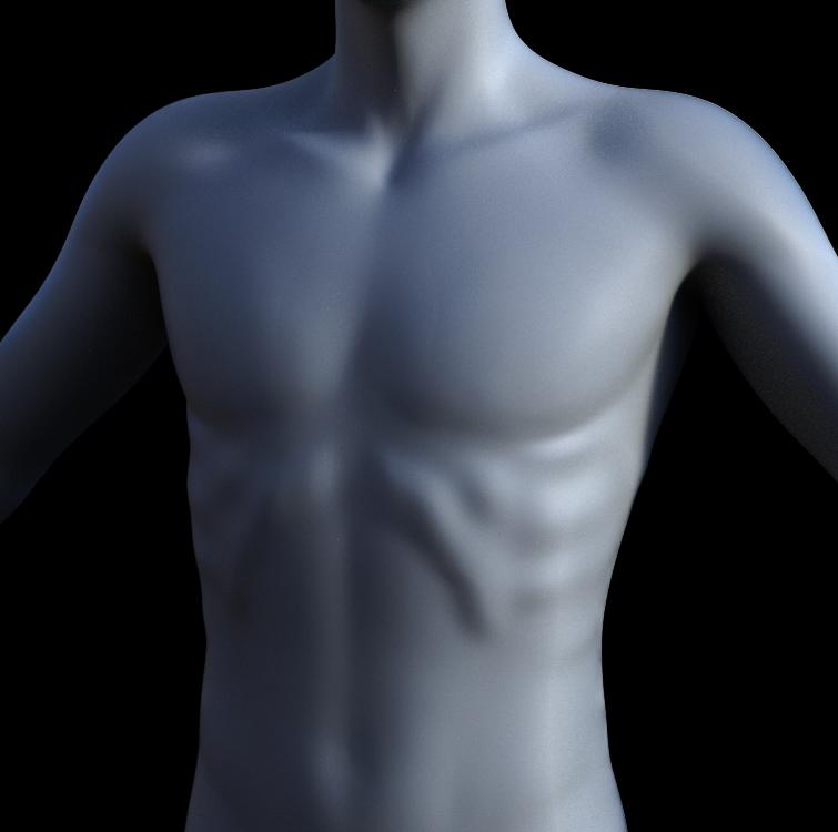 Ribs and spine Daz 3D Forums