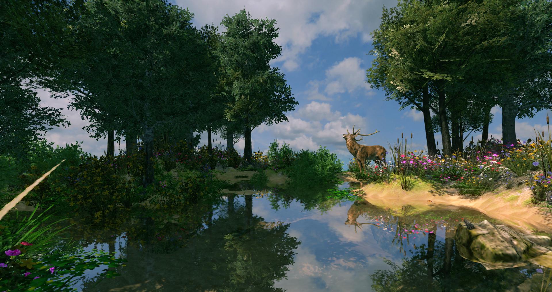 Flowscape And Daz Studio So Many Backdrops! Daz 3D Forums