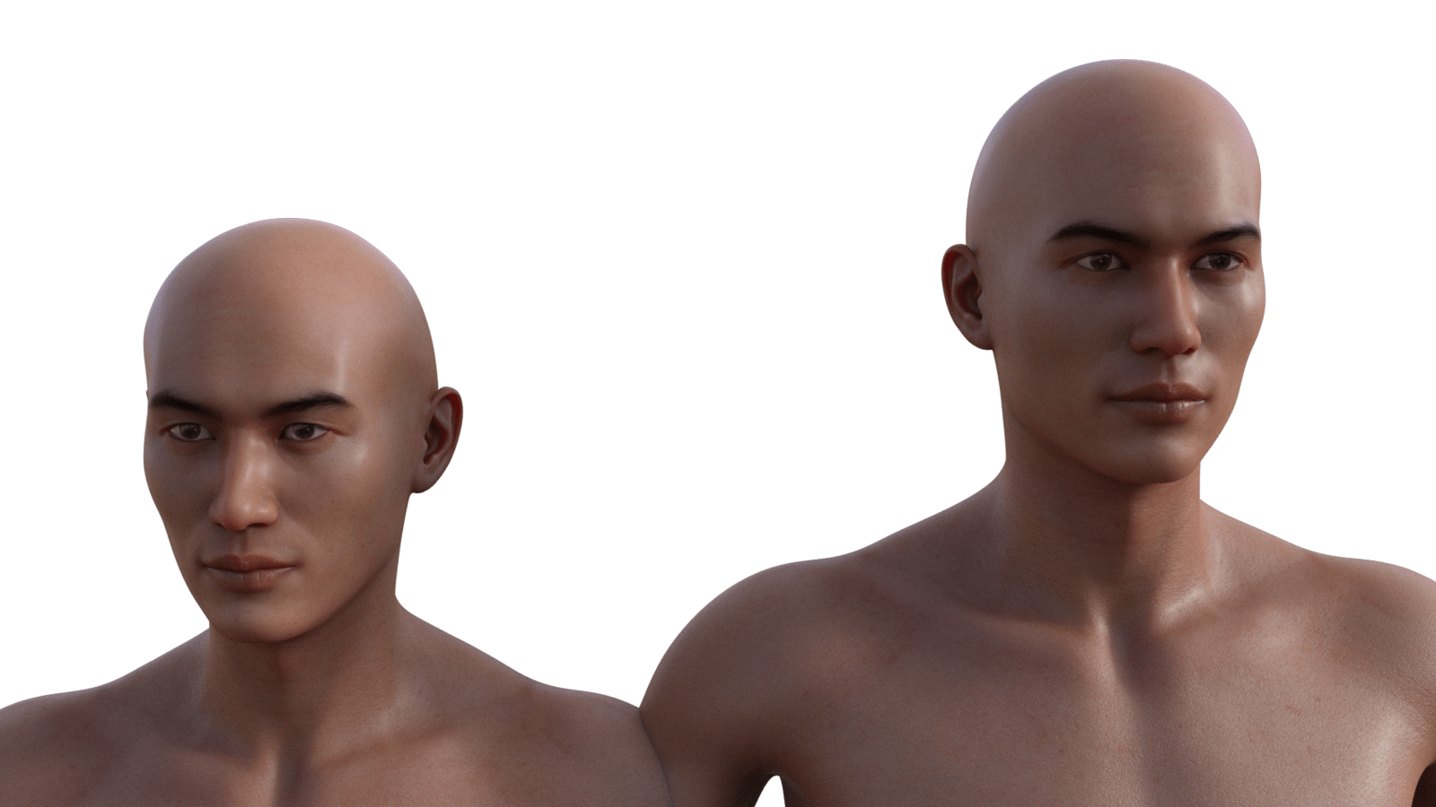 Half asian character? Daz 3D Forums