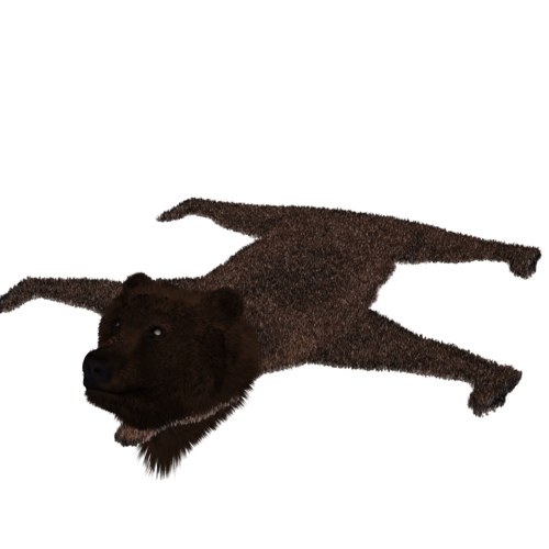 Bear Skin Rugs...Please Daz 3D Forums