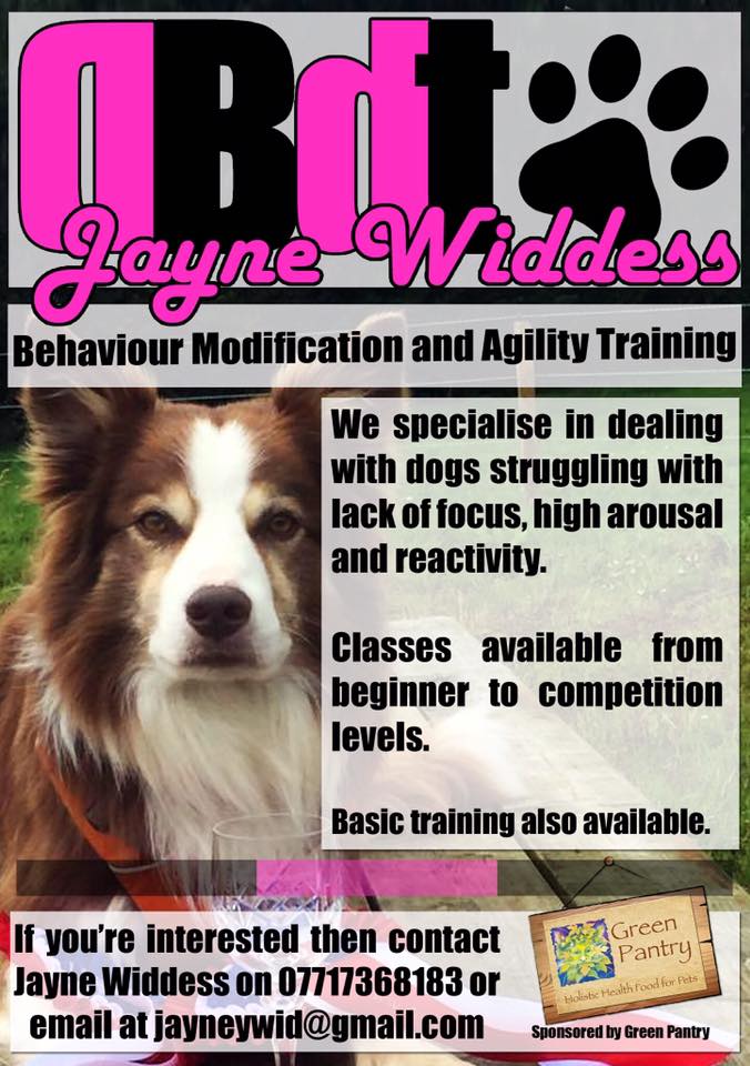 Dog behaviour modification DB Dog Training