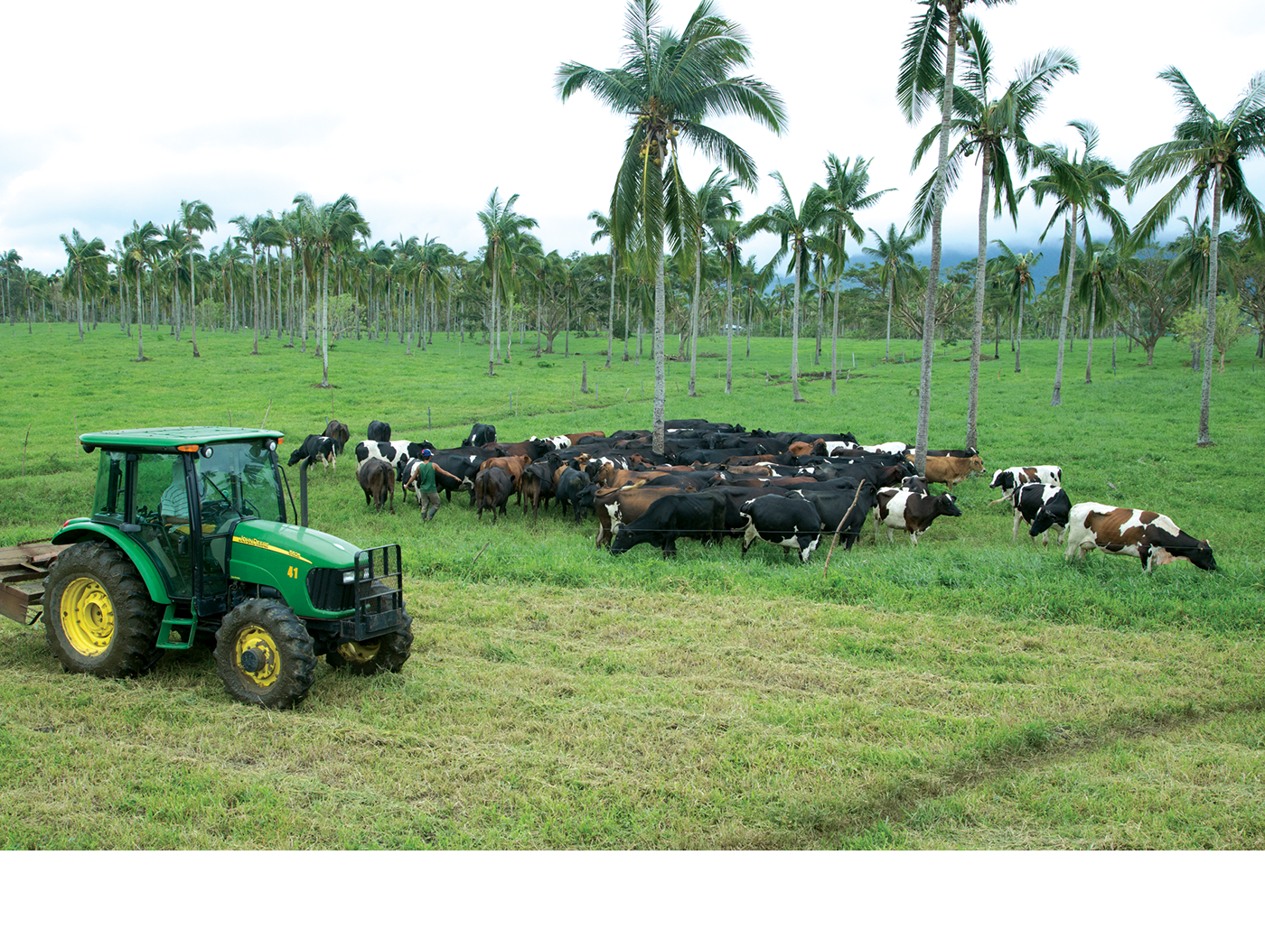 Sustainable Agribusiness Financing Program (SAFP) Development Bank of