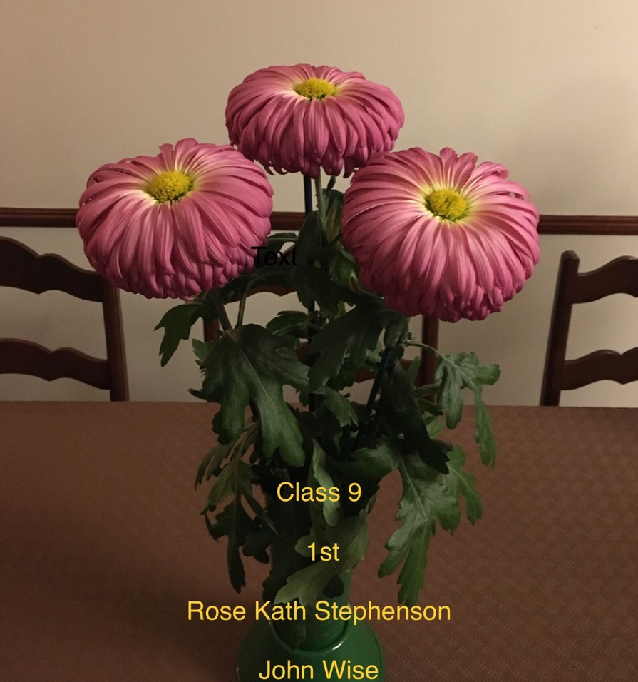 2020results Darlington Chrysanthemum and Dahlia Society