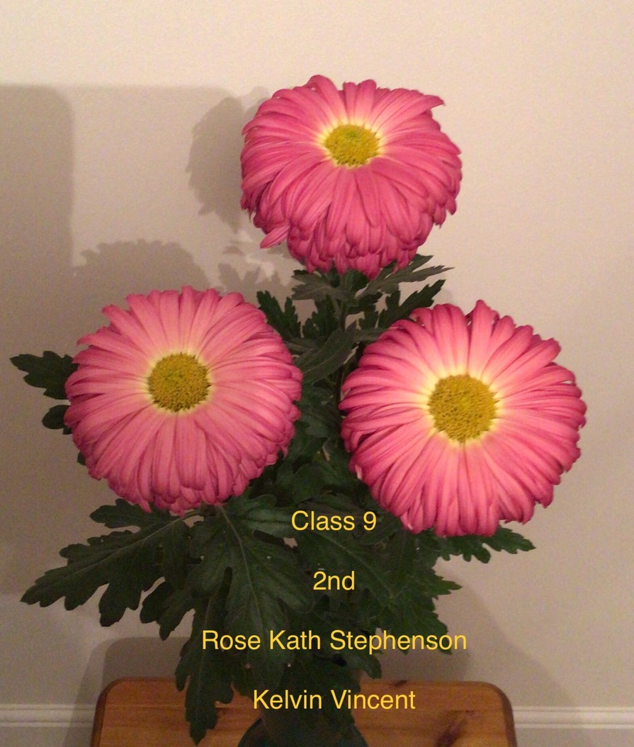 2020results Darlington Chrysanthemum and Dahlia Society