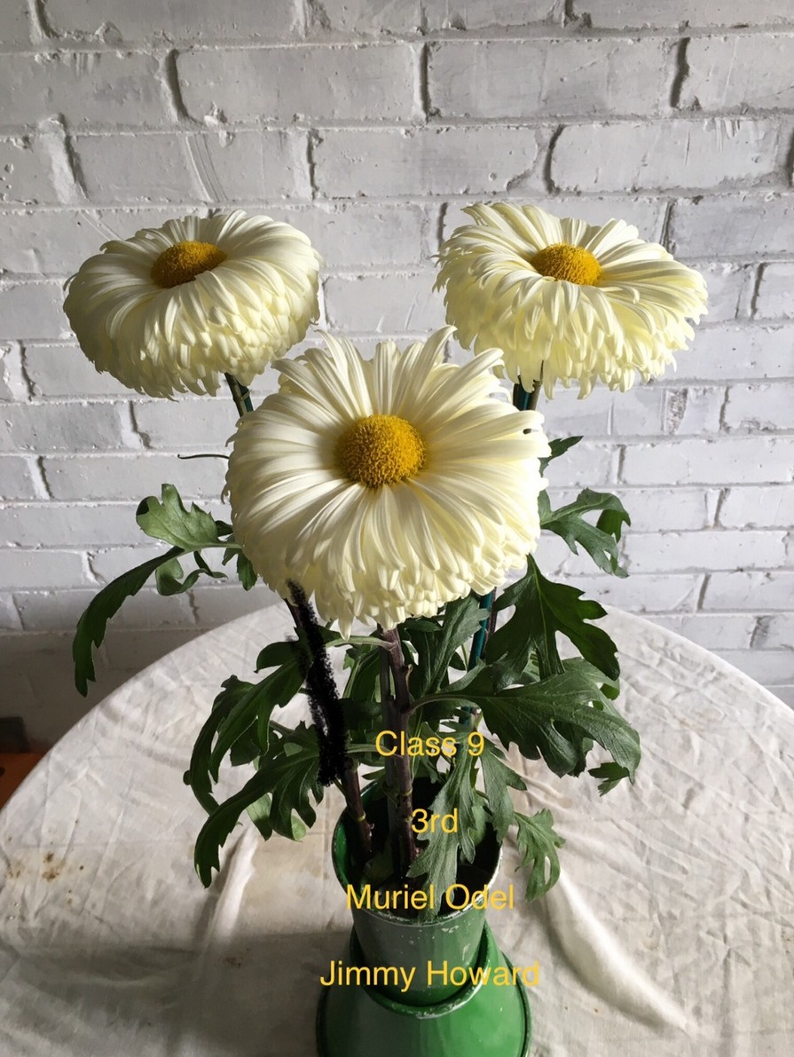 2020results Darlington Chrysanthemum and Dahlia Society
