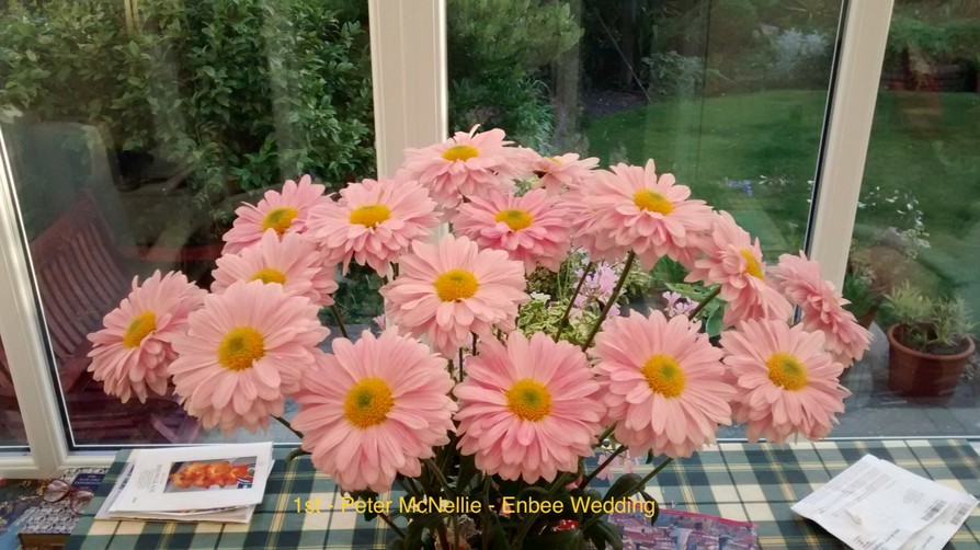 Competition 2020 Darlington Chrysanthemum and Dahlia Society