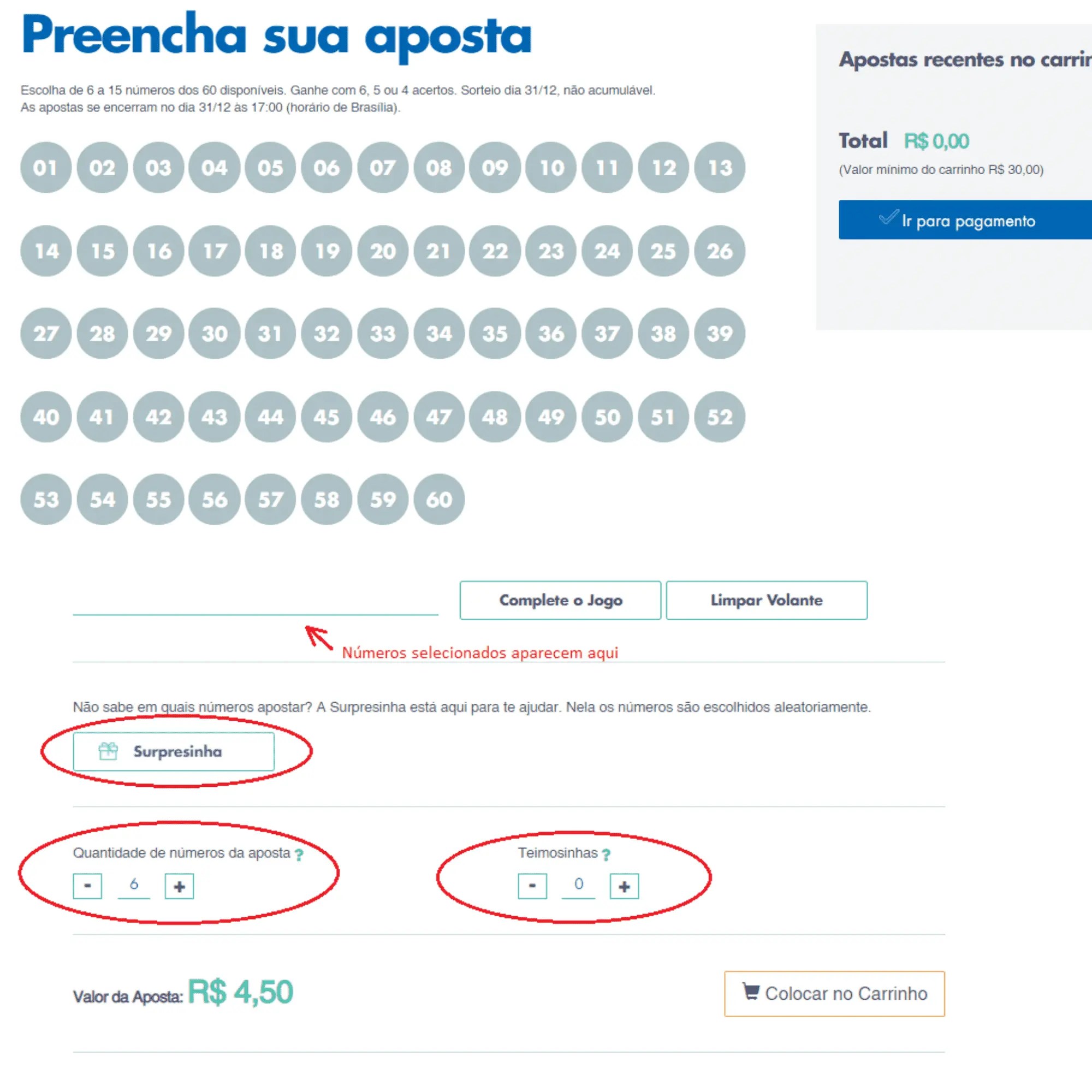 Mega da Virada 2020 veja como jogar online; prêmio é de R 300 milhões