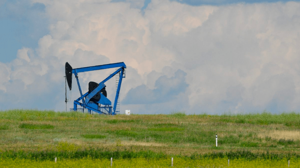 2 years ago Amanda Eggert