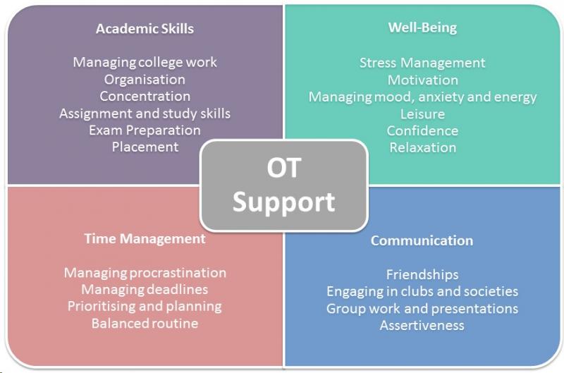 DLSS Learning Supports Disability & Learning Support