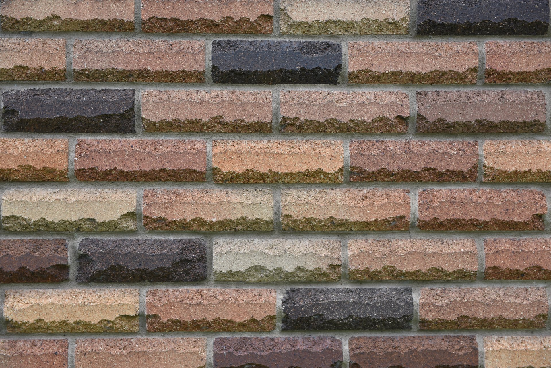 Combination Rockface Solid Bricks (Blend Cream, Black, Red) Darling