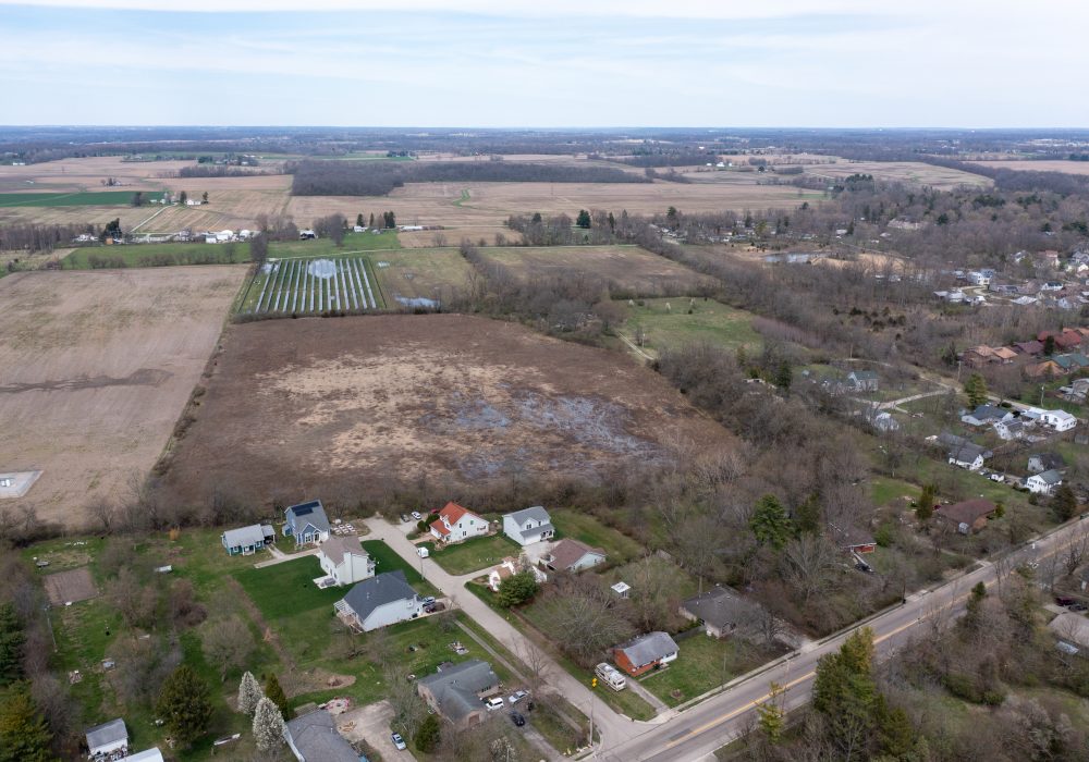 Spring Meadows DDC Management