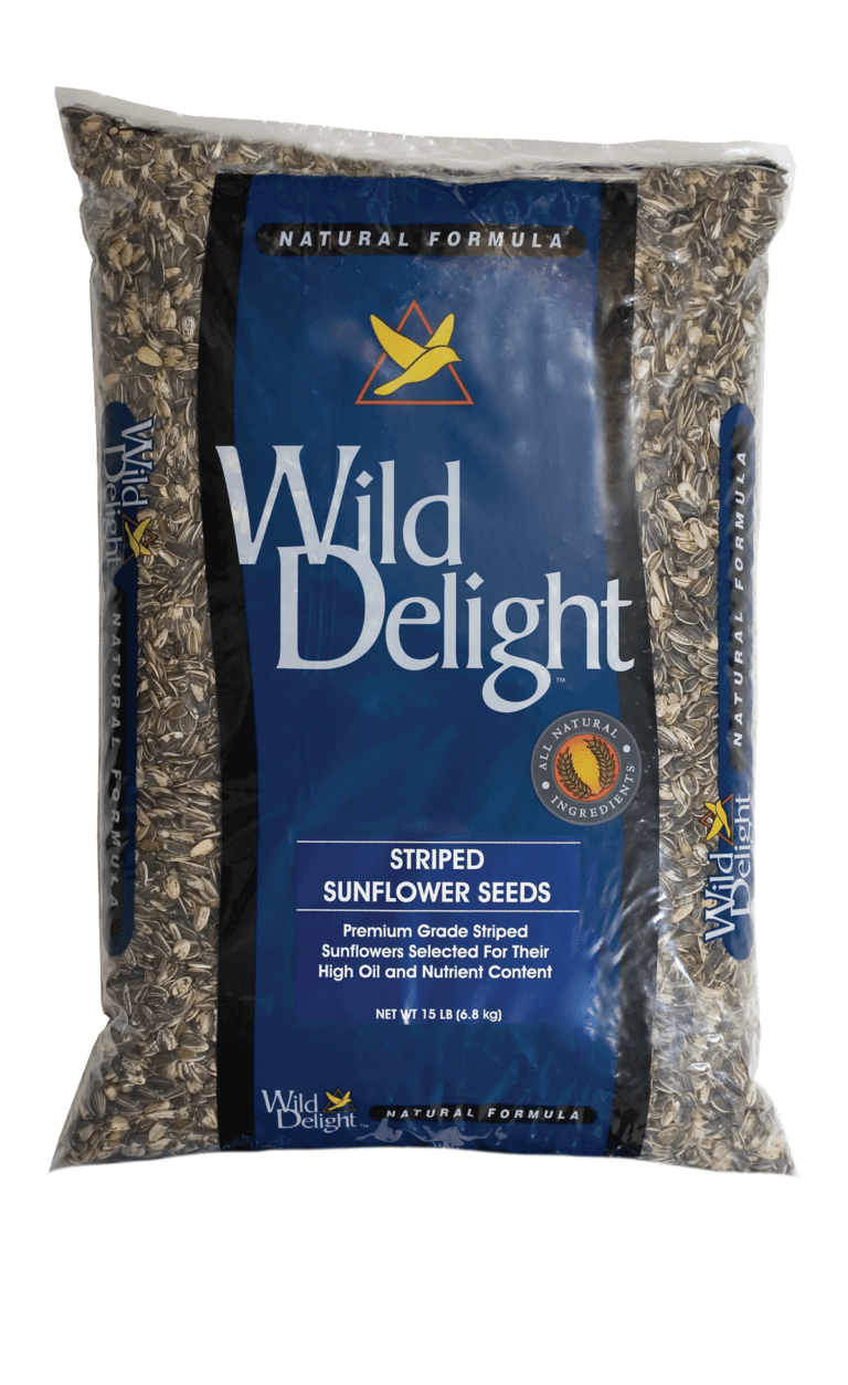 Striped Sunflower Seed D&D CommoditiesD&D Commodities