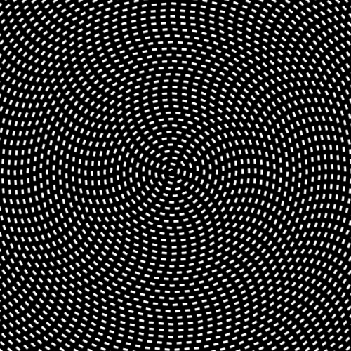 animated gifs in animated gif illusions funny gifs