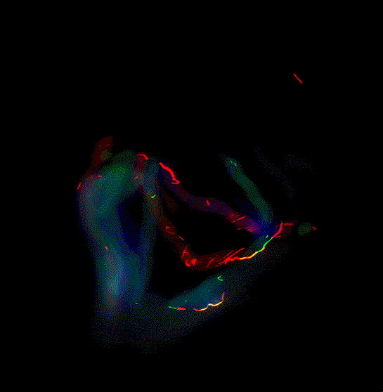 animated gifs in animated gif illusions funny gifs