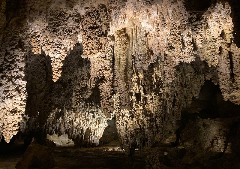 New Mexico 2021 D&D Travel