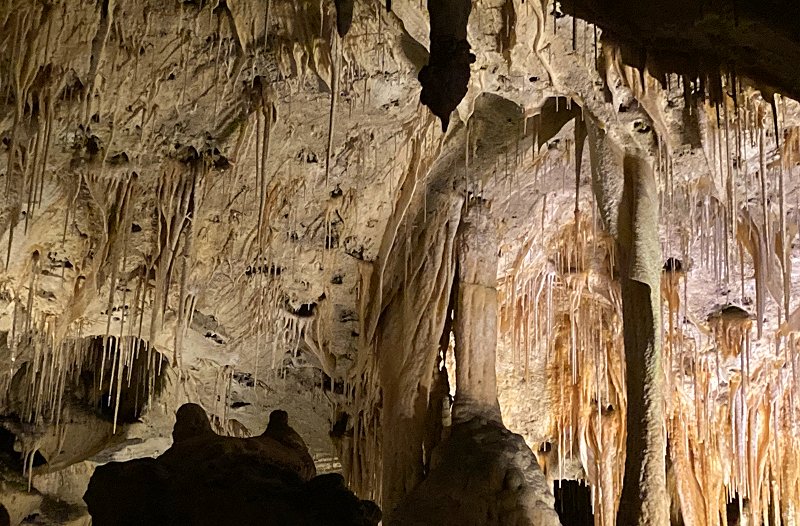 New Mexico 2021 D&D Travel