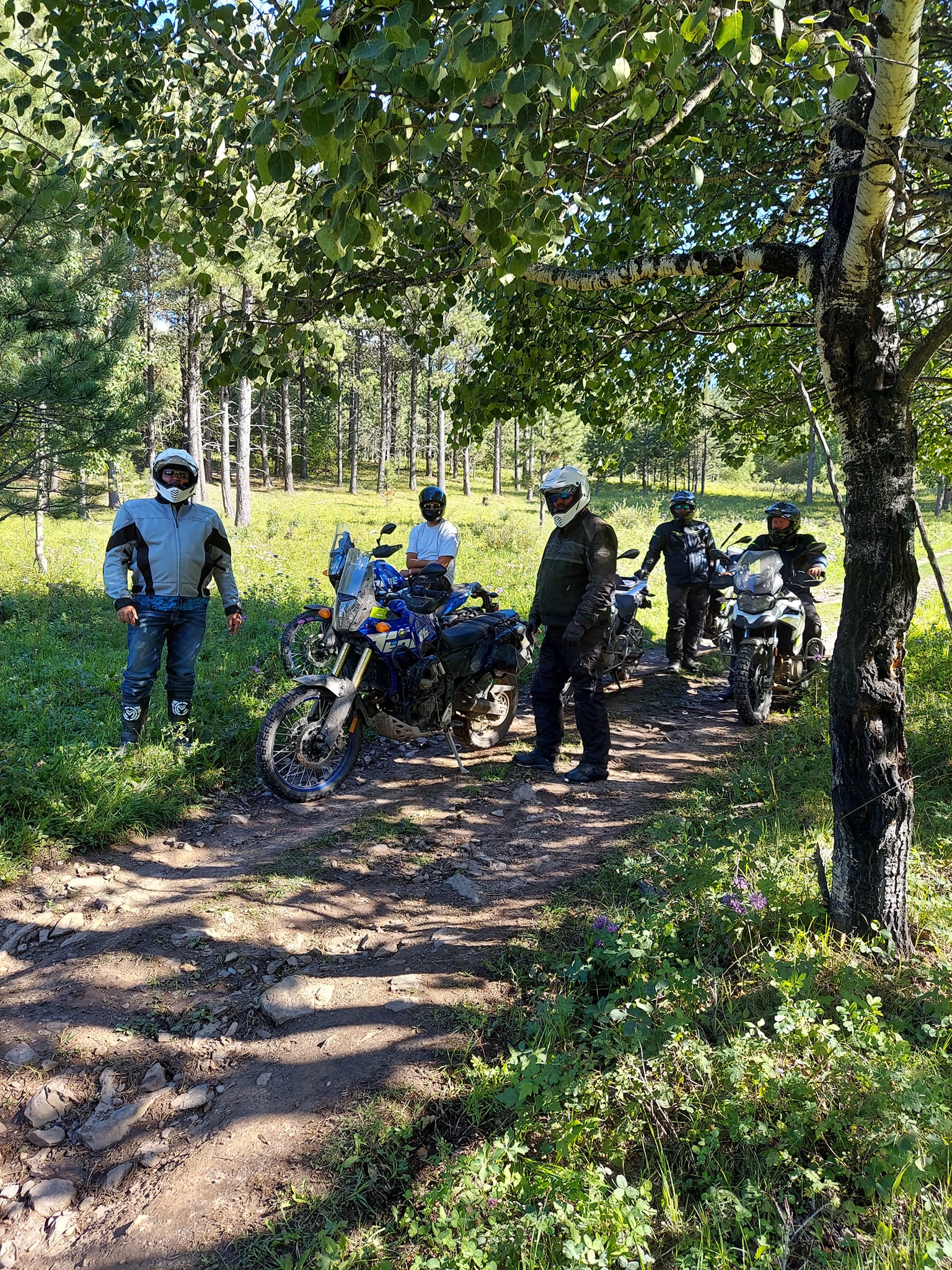 Alpine Adventure Rentals Deadwood