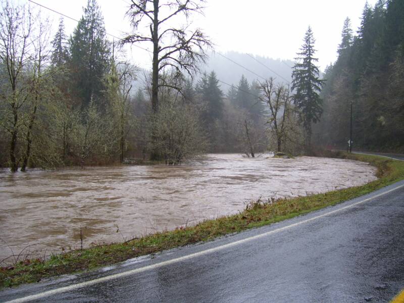 Deadwood News and Events