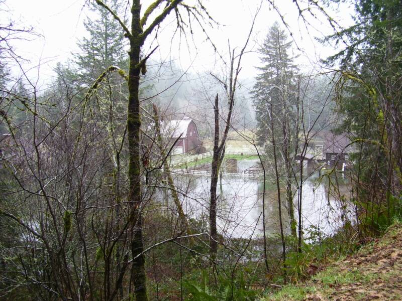 Deadwood News and Events