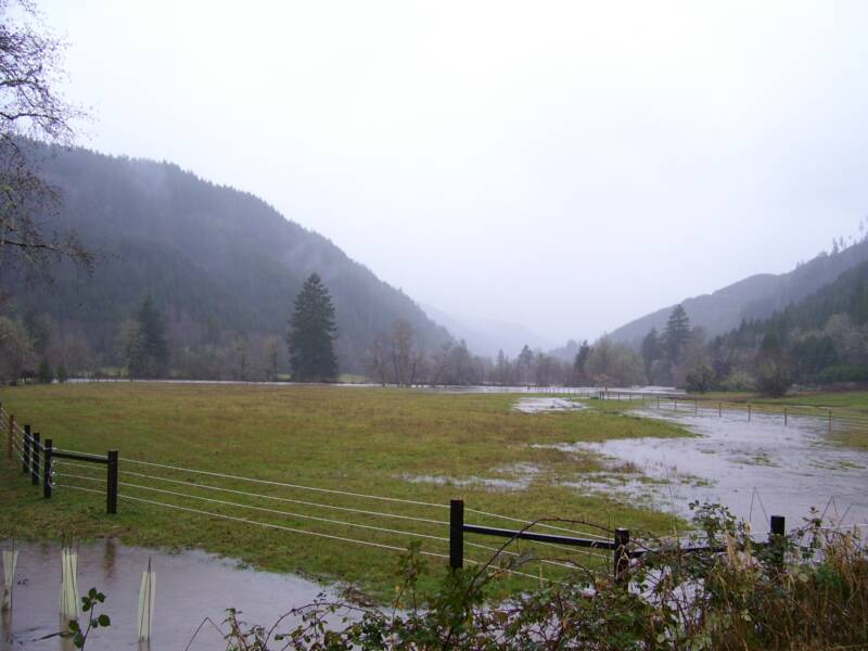 Deadwood News and Events