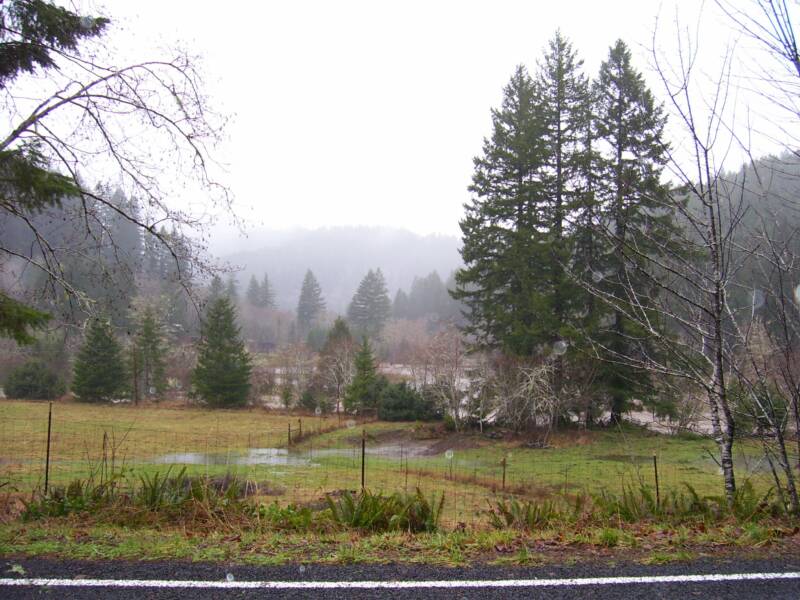 Deadwood News and Events