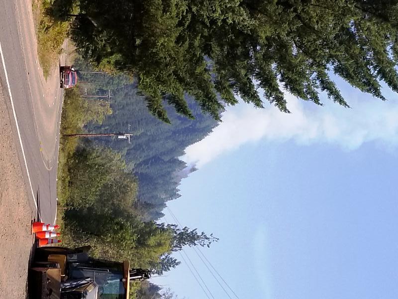 Deadwood News and Events