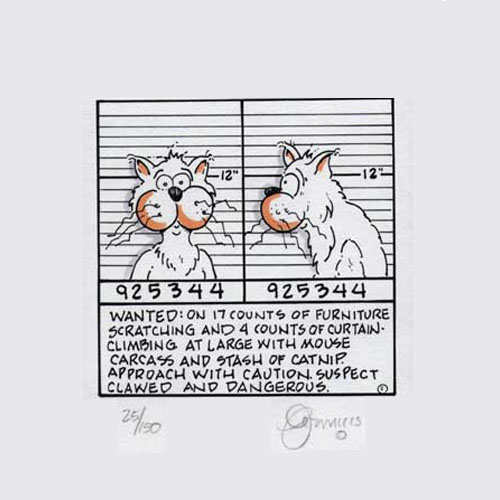 Cat Burglar DeAmicis Studios