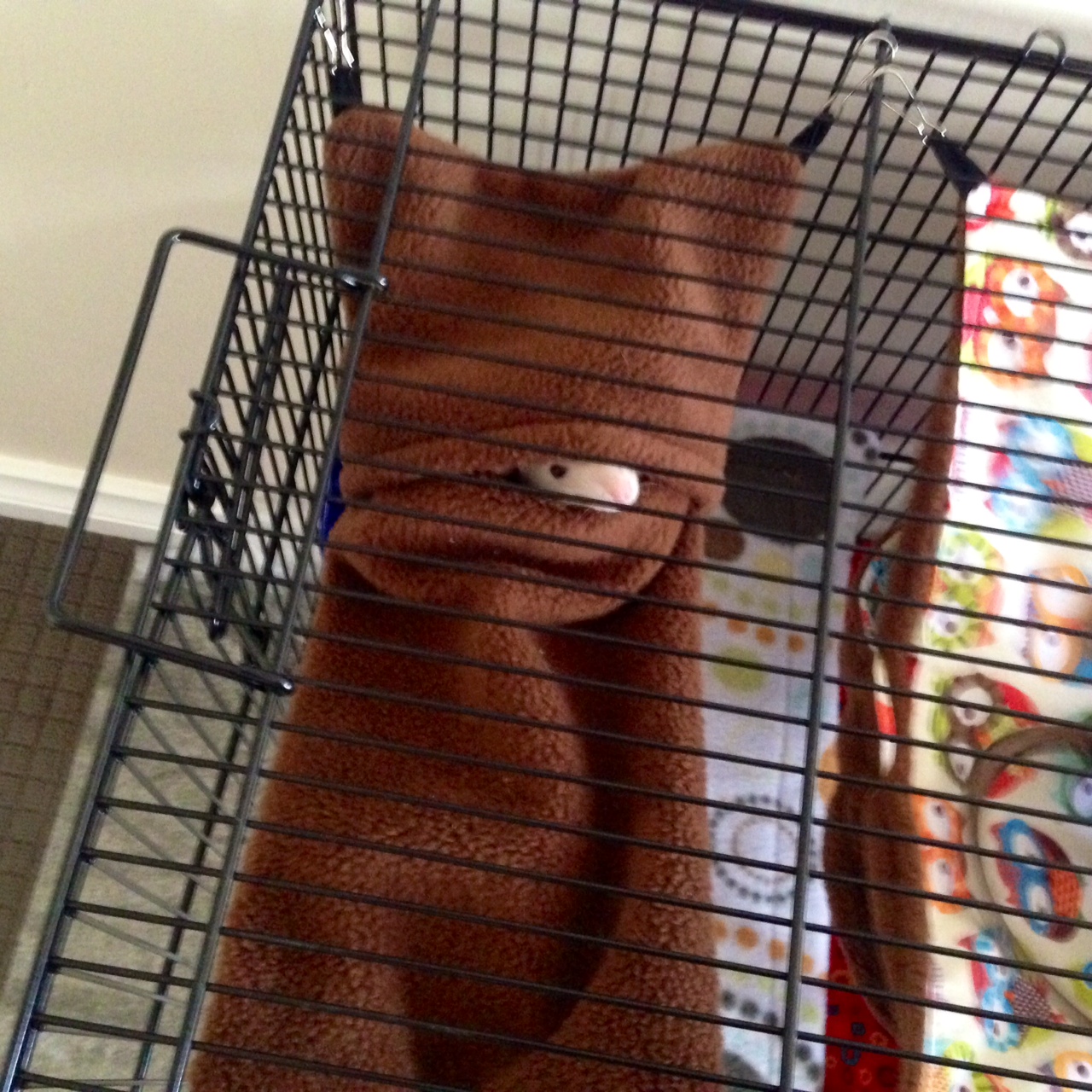 Pocket Beds for Rats or Ferrets Deano Designs Perth