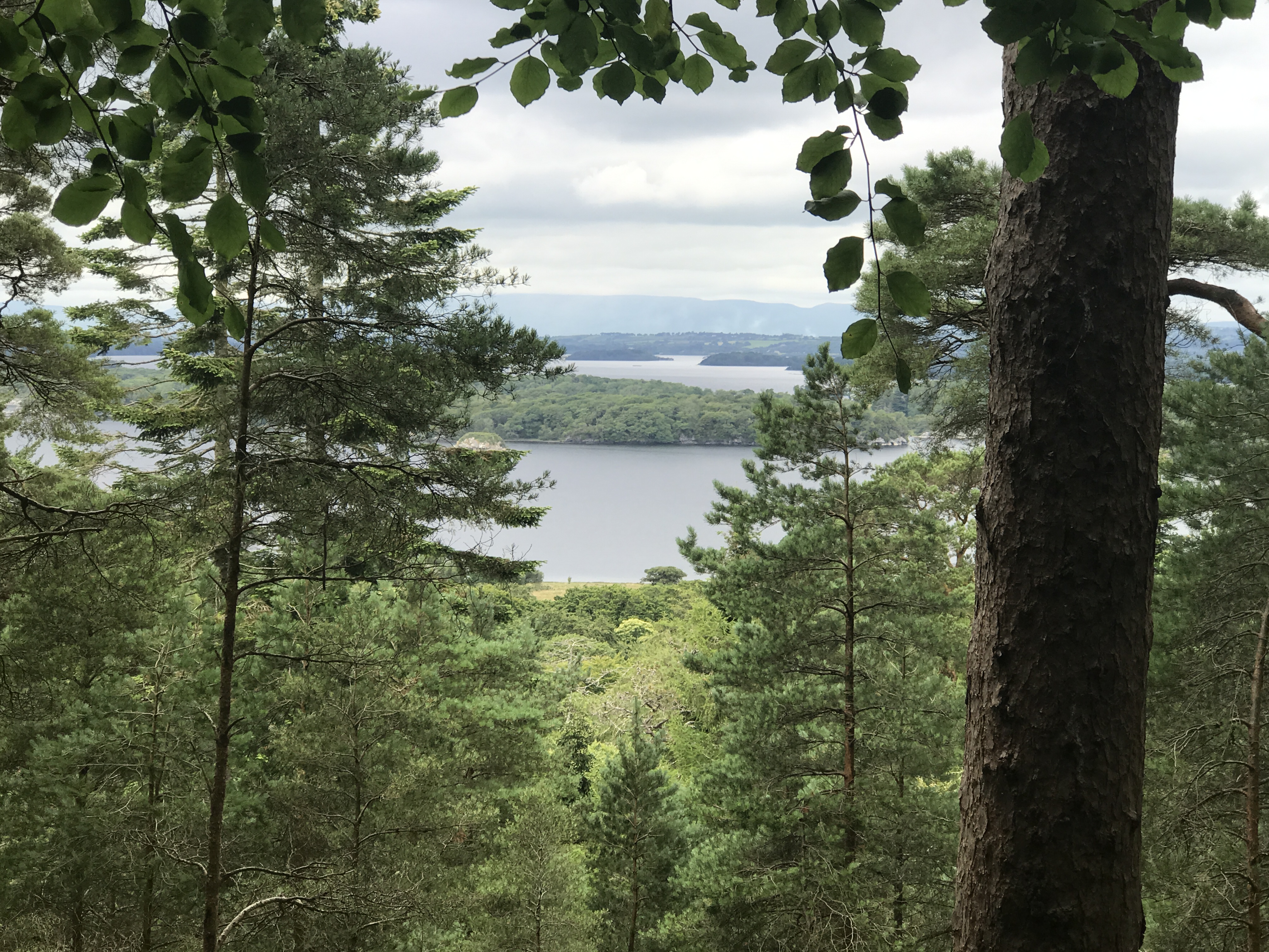 KillarneyA Walk in the Park Debbie's Journal