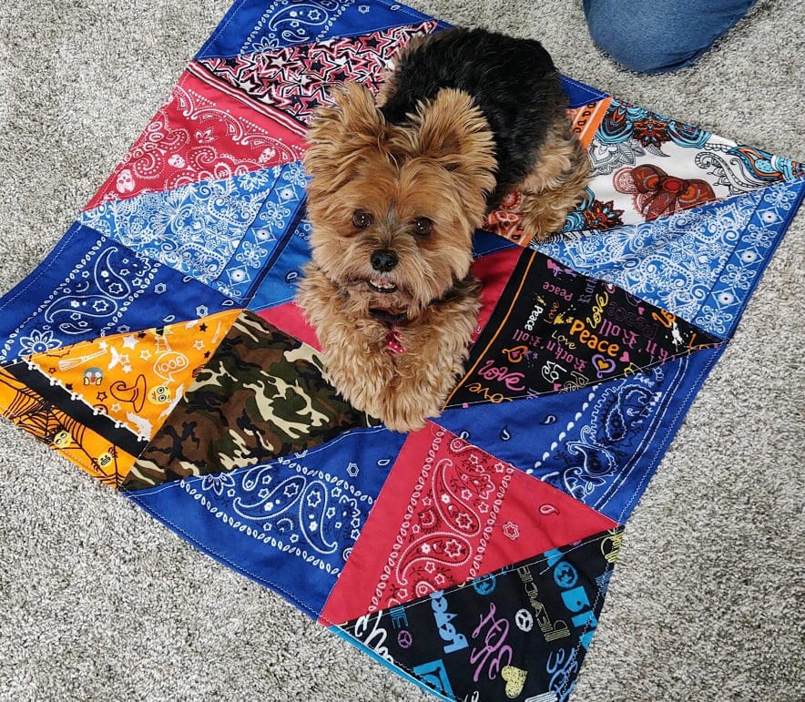 GALLERY DEBBIE'S PET GROOMING