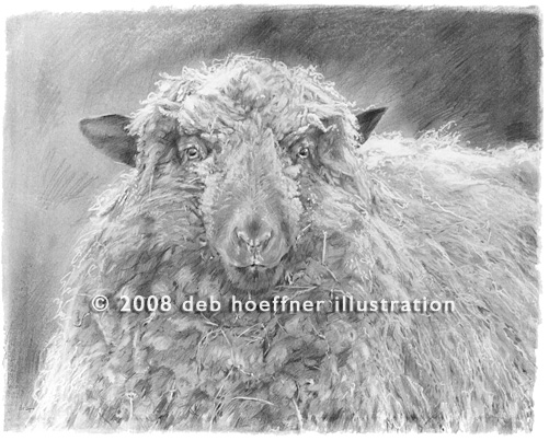 Sheep Art Farm Animal Pencil Drawing Nursery Art Baby Wall Etsy