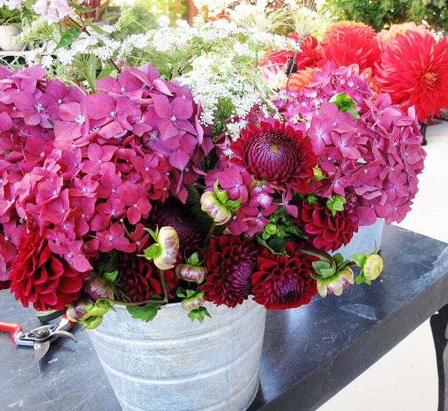 How to choose the freshest bouquets and flowers at your local farmers