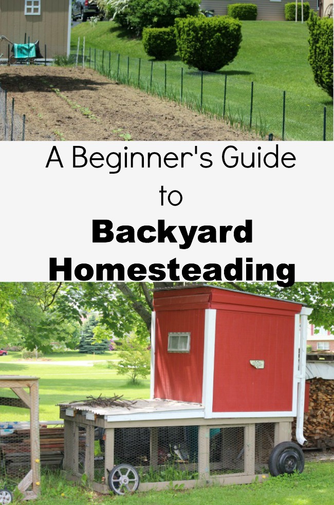 A Beginner's Guide to Backyard Homesteading Debt Free Spending