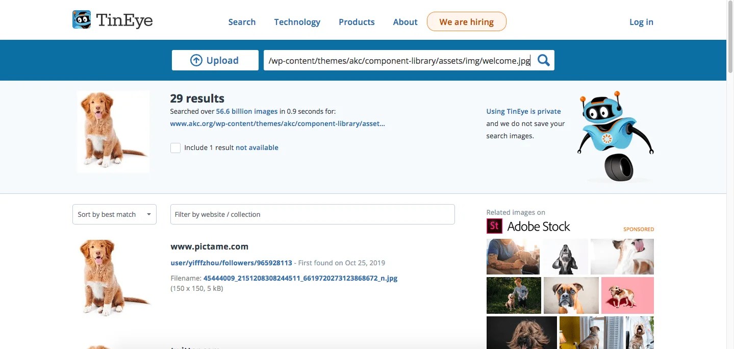 Reverse Image Search Easily find where a photo is from! DebugBar