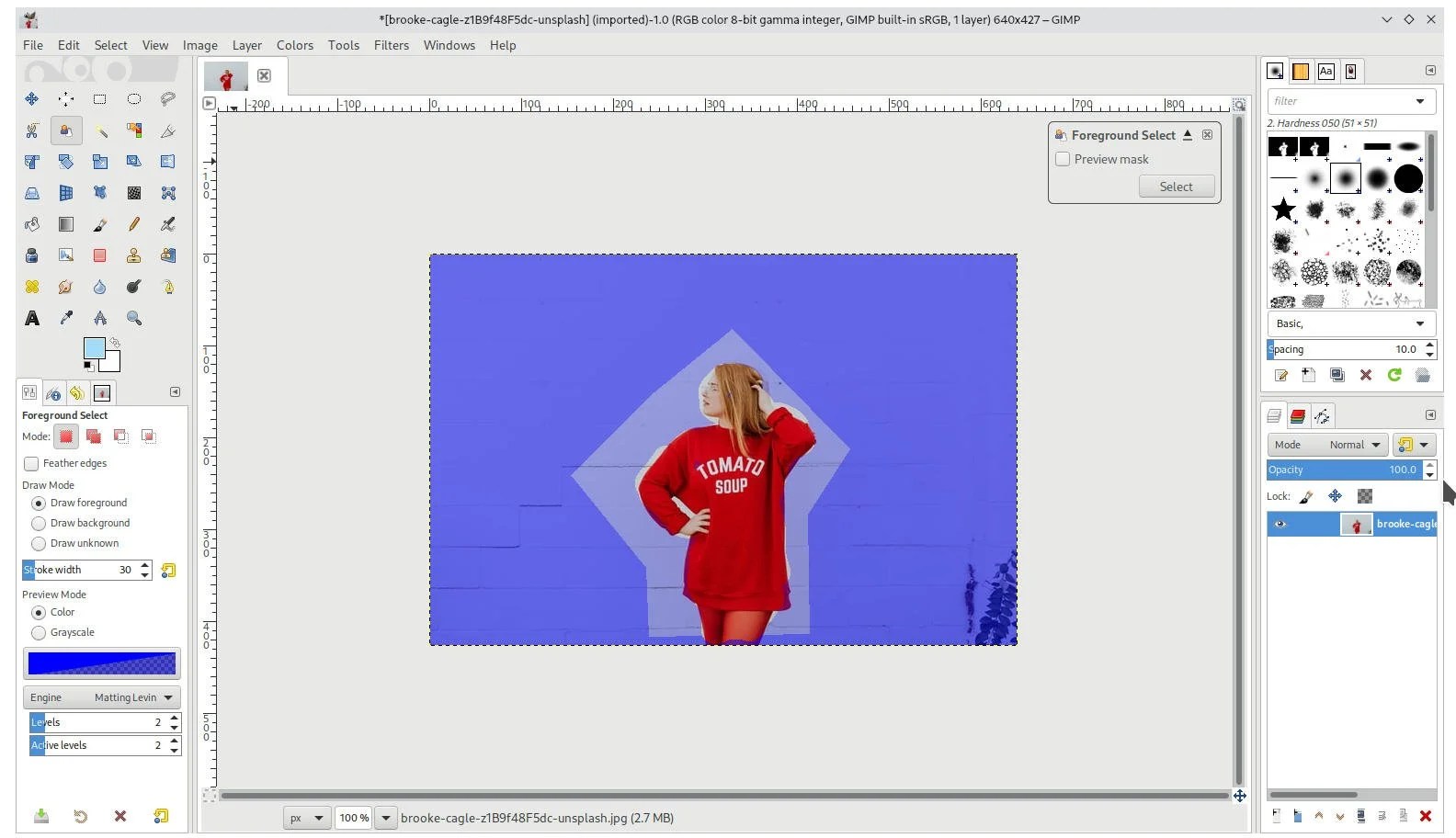 5 Ways to Remove Background in Image Using GIMP