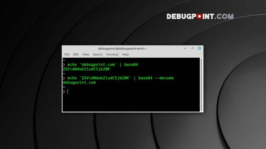Learn Bash base64 Encode and Decode With Examples