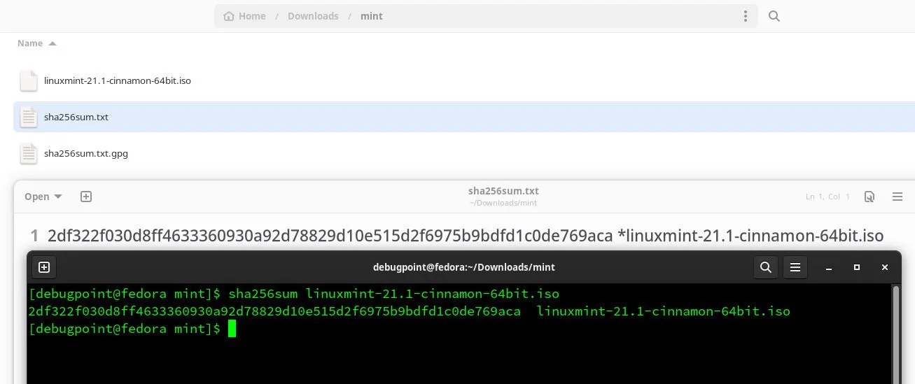 Can Iso Files Contain Viruses? Exploring The Risks