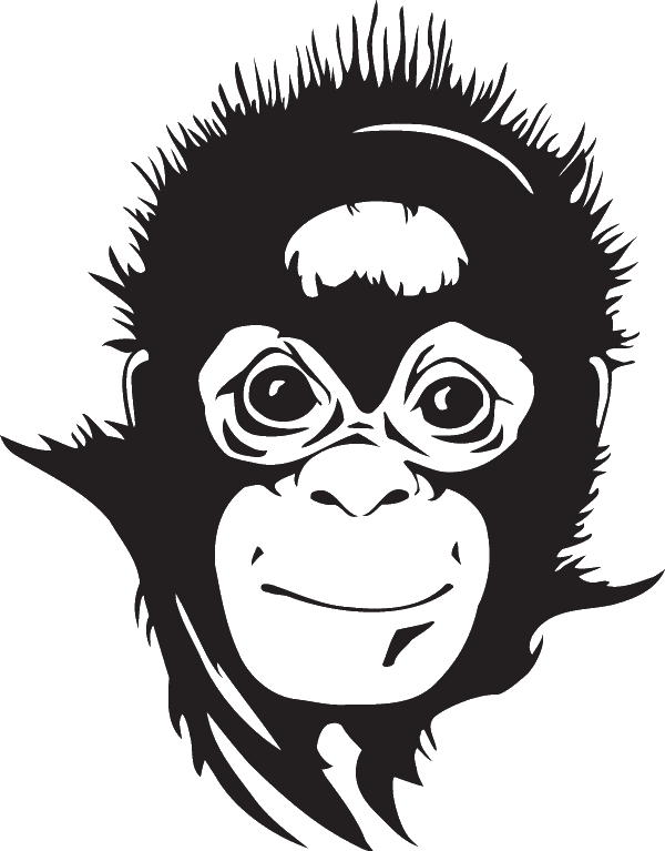 Tribal Chimp Reviews Best Design Ideas