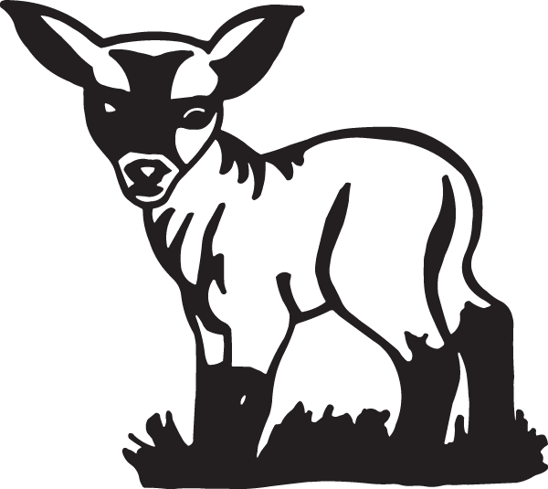 Baby Lamb Decal 4.95 Decal City