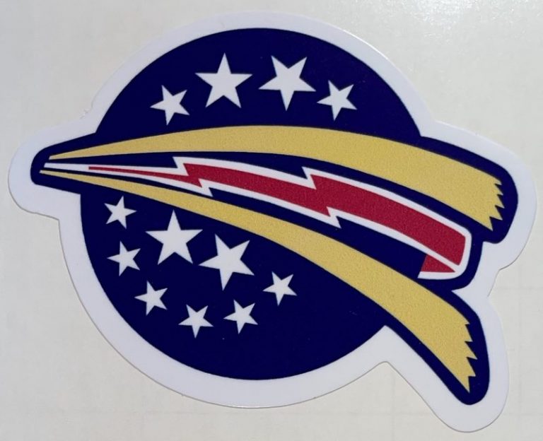 USAF 48th Fighter Interceptor Squadron Sticker Decal Patch Co