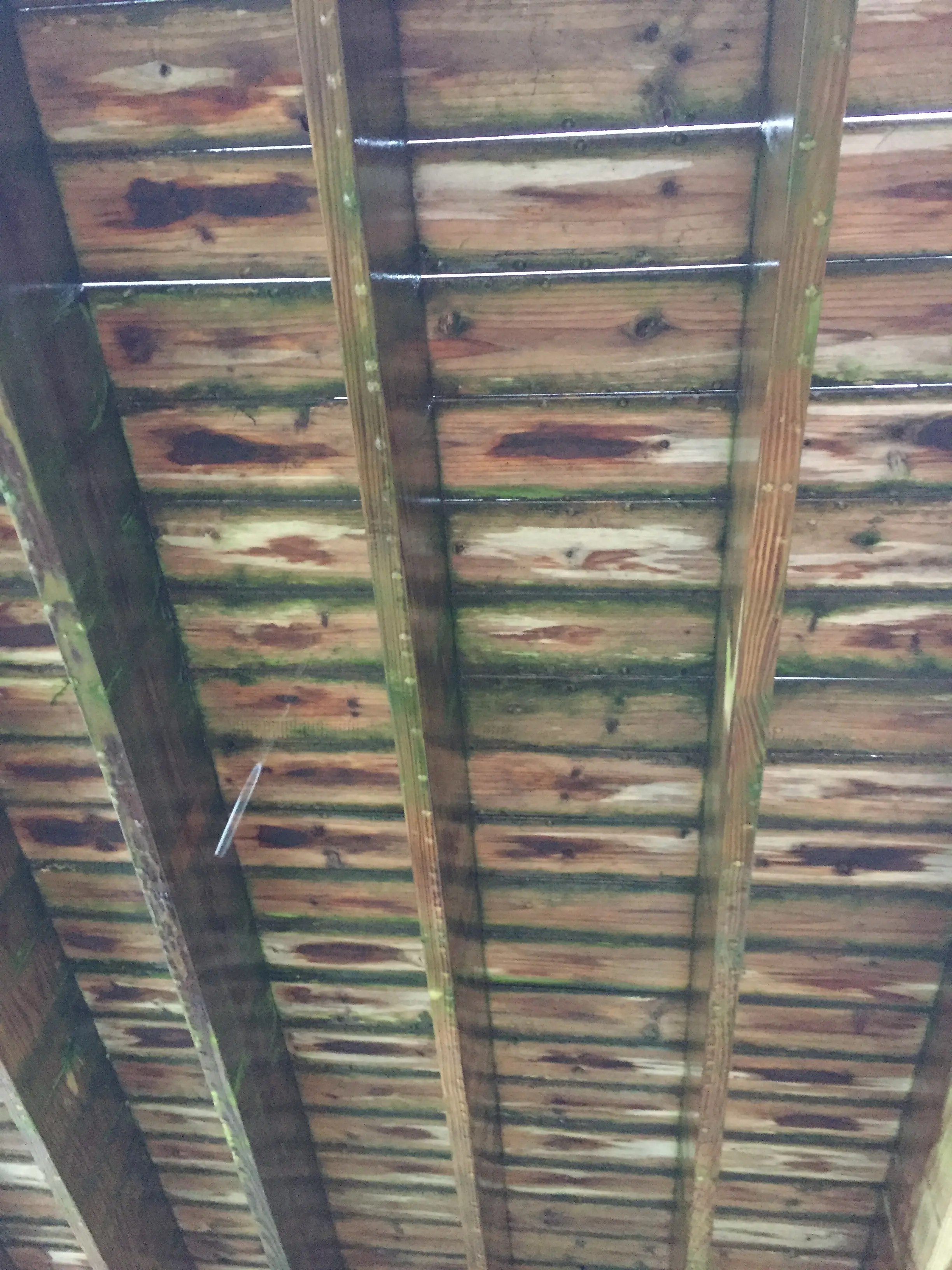 Frustrated with my Cedar deck Deck Stain Questions and Answers Deck