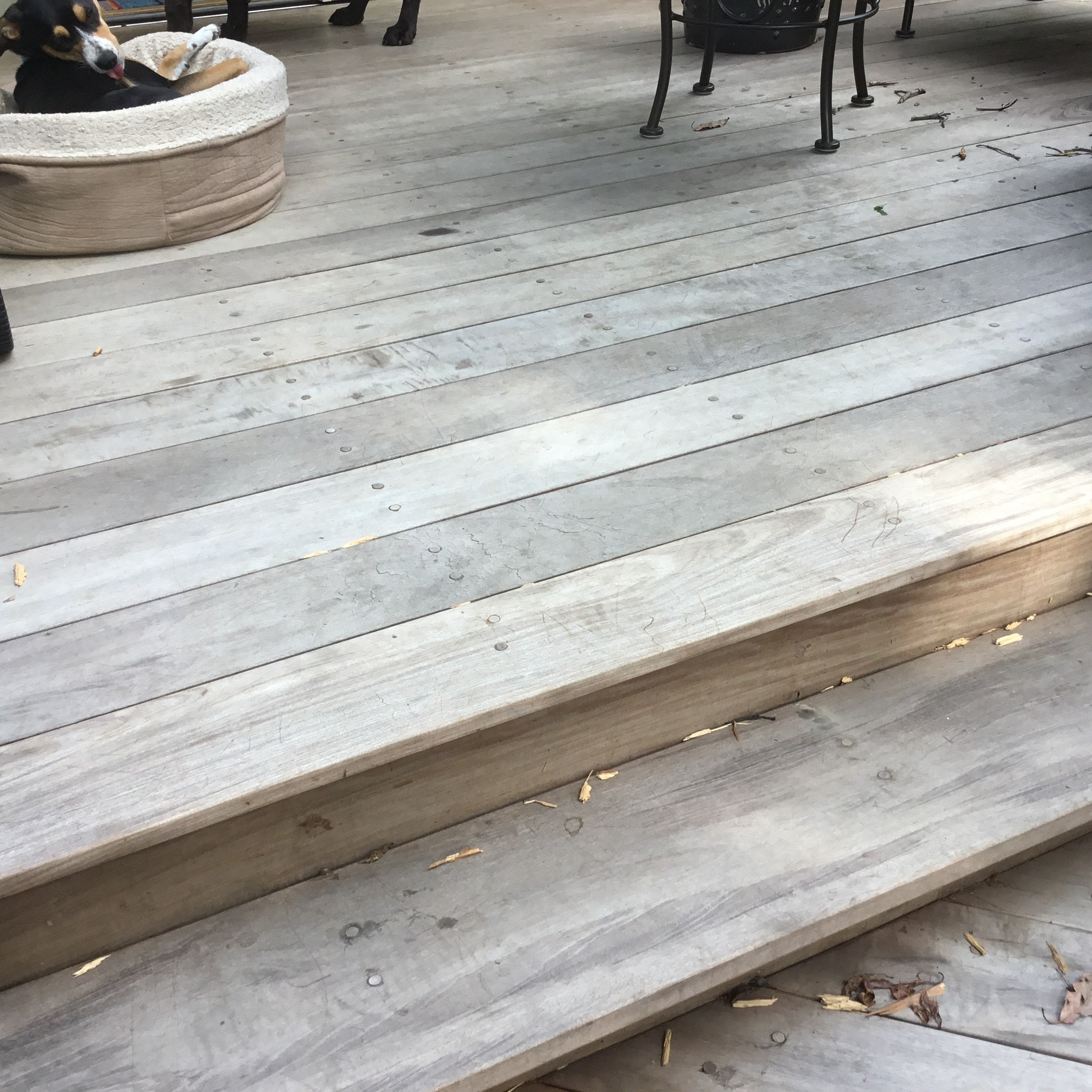 Last chance on Tigerwood/ipe deck!!! Deck Stain Questions and Answers