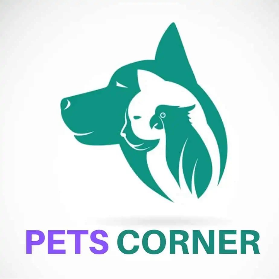 Pets Corner Archives Decor Essentials