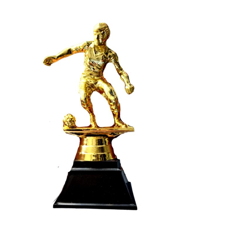 Soccer Trophy 20cm Decor Essentials