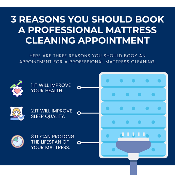3 Reasons You Should Book A Professional Mattress Cleaning Appointment