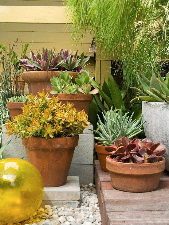 60+ Jardins com Pedras Decorativas Fotos Lindas