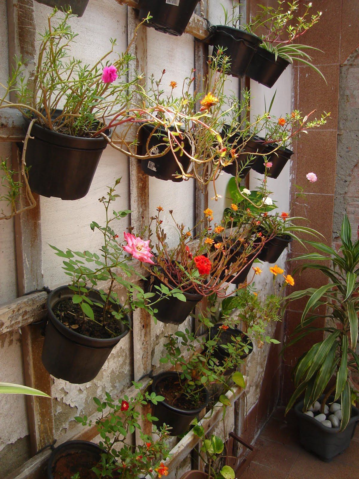 Jardim Simples 60+ Ideias, Fotos e Passo a Passo